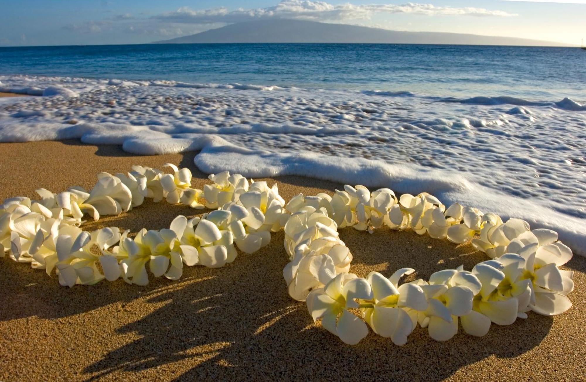 Great Ocean View Condo, Near Beach With Free Parking! Honolulu Exterior foto